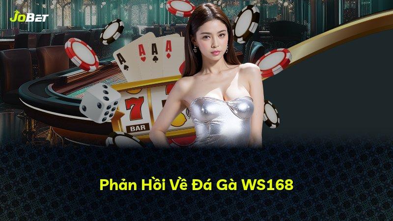 Phản Hồi Về Đá Gà WS168