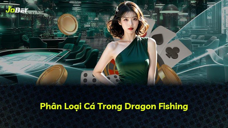 Phân Loại Cá Trong Dragon Fishing