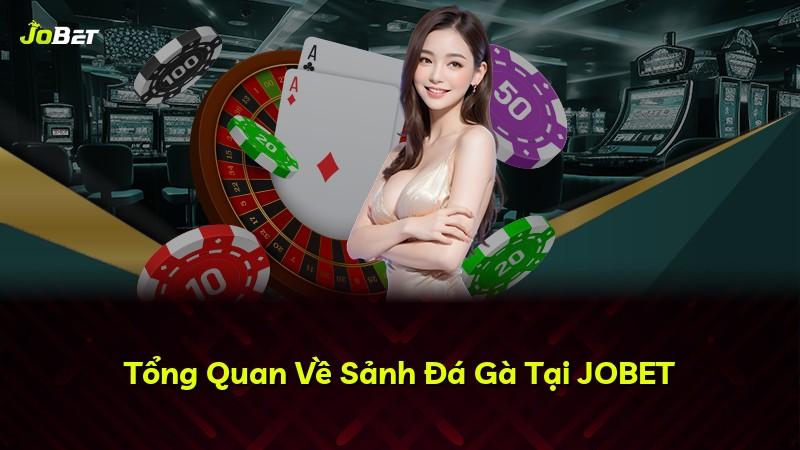 Tổng Quan Về Sảnh Đá Gà Tại JOBET